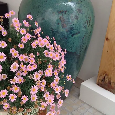 Maison d'hôtes White