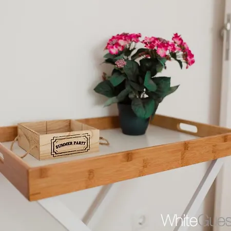 Casa de hóspedes White